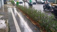 Kota Madiun bangun pedestrian ramah disabilitas dan lansia